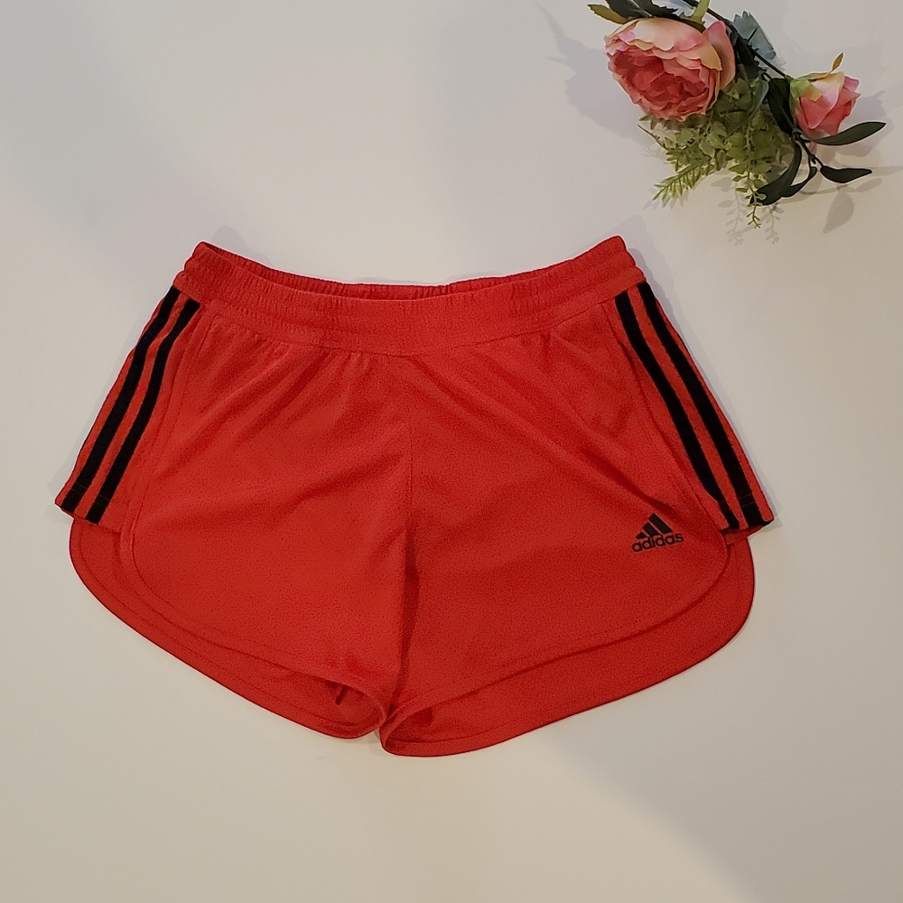 Red and Black Adidas Athletic Shorts Size …